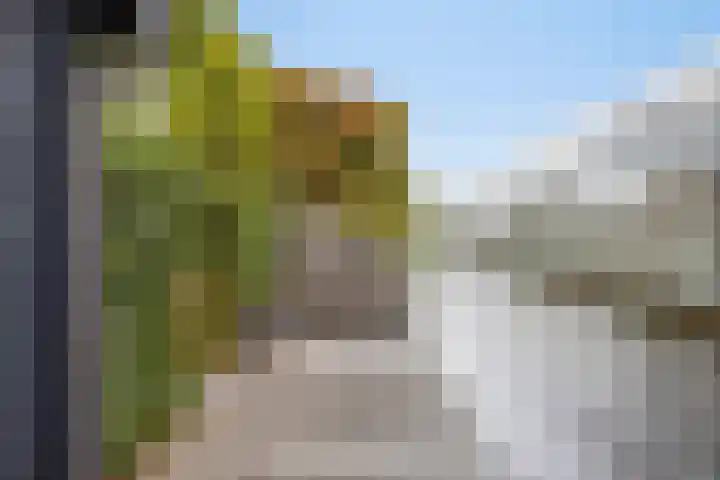 Azalealaan 39 Boskoop thumbnail 38