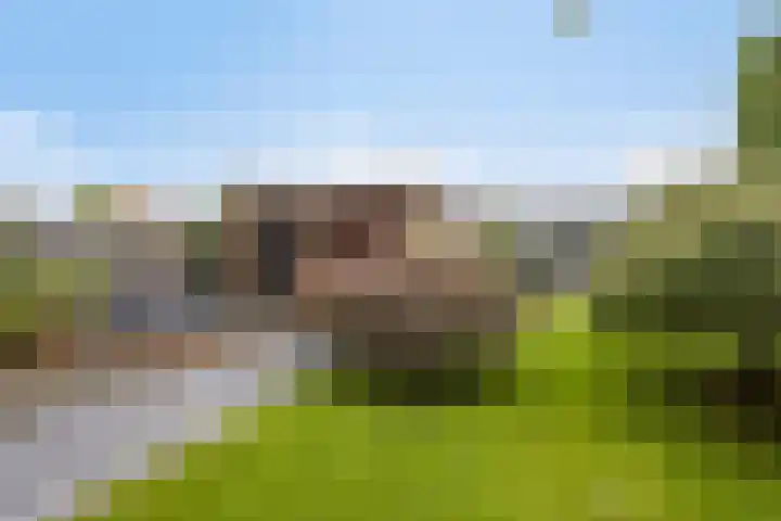 Azalealaan 39 Boskoop thumbnail 40