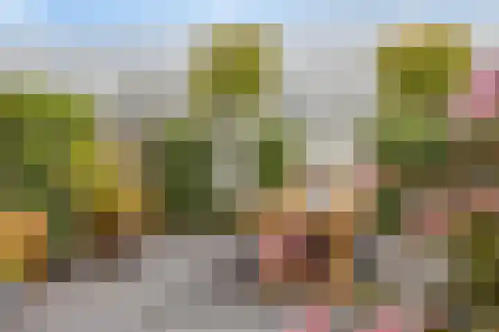 Azalealaan 39 Boskoop thumbnail 41