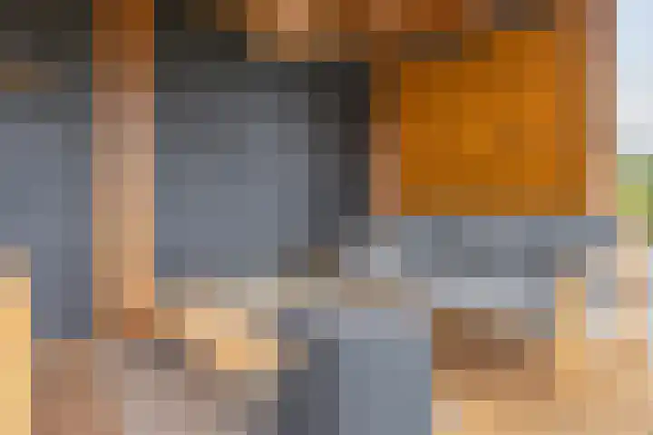 Azalealaan 39 Boskoop thumbnail 42