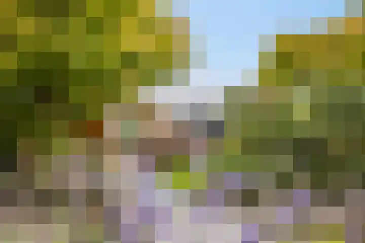 Azalealaan 39 Boskoop thumbnail 43