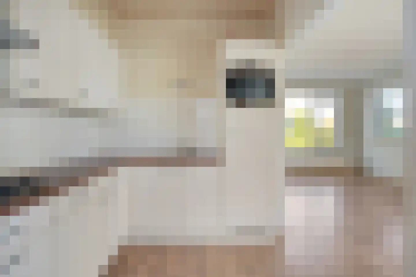 Azalealaan 40 Yerseke thumbnail 11