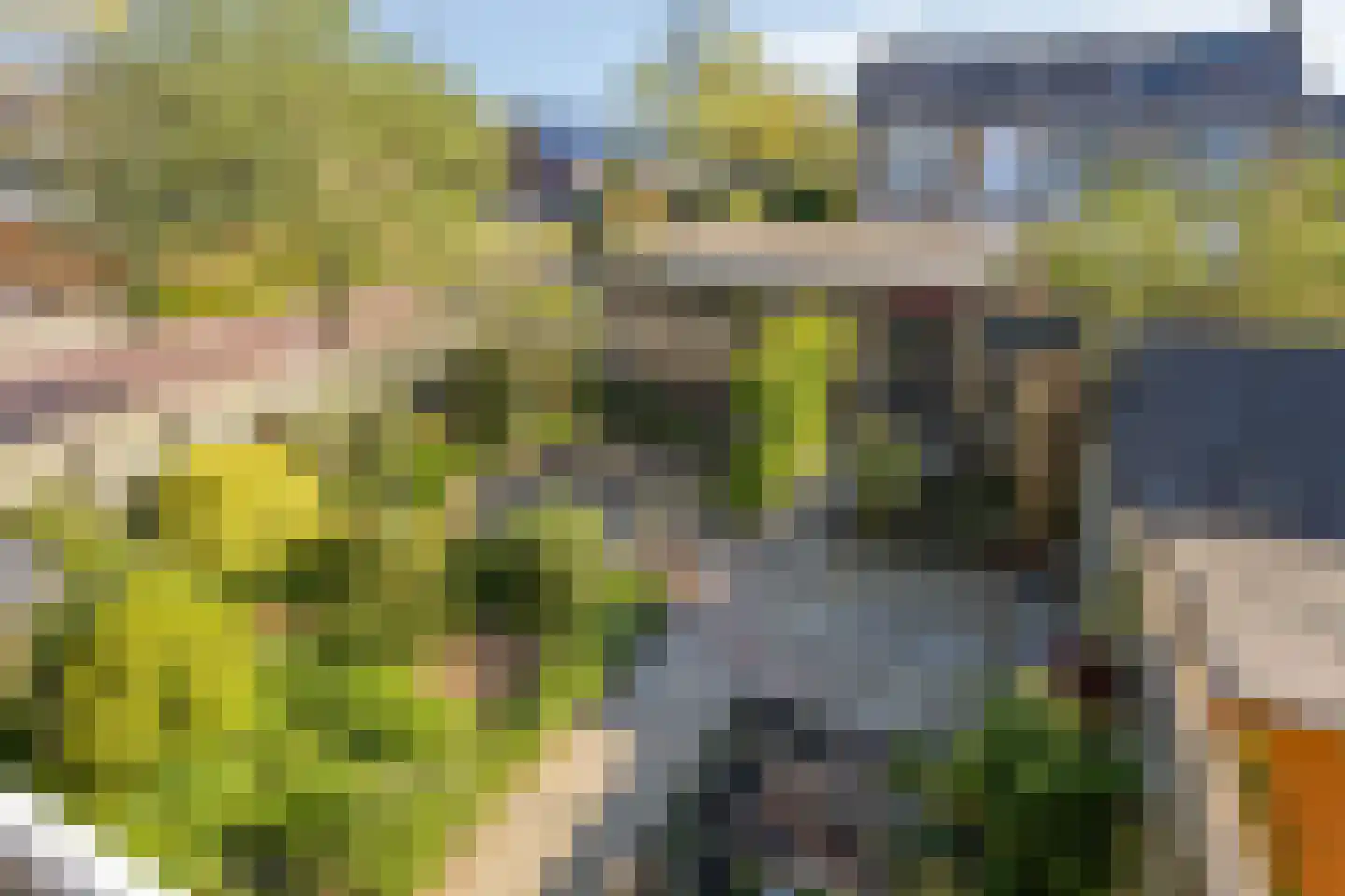 Azalealaan 40 Yerseke thumbnail 22