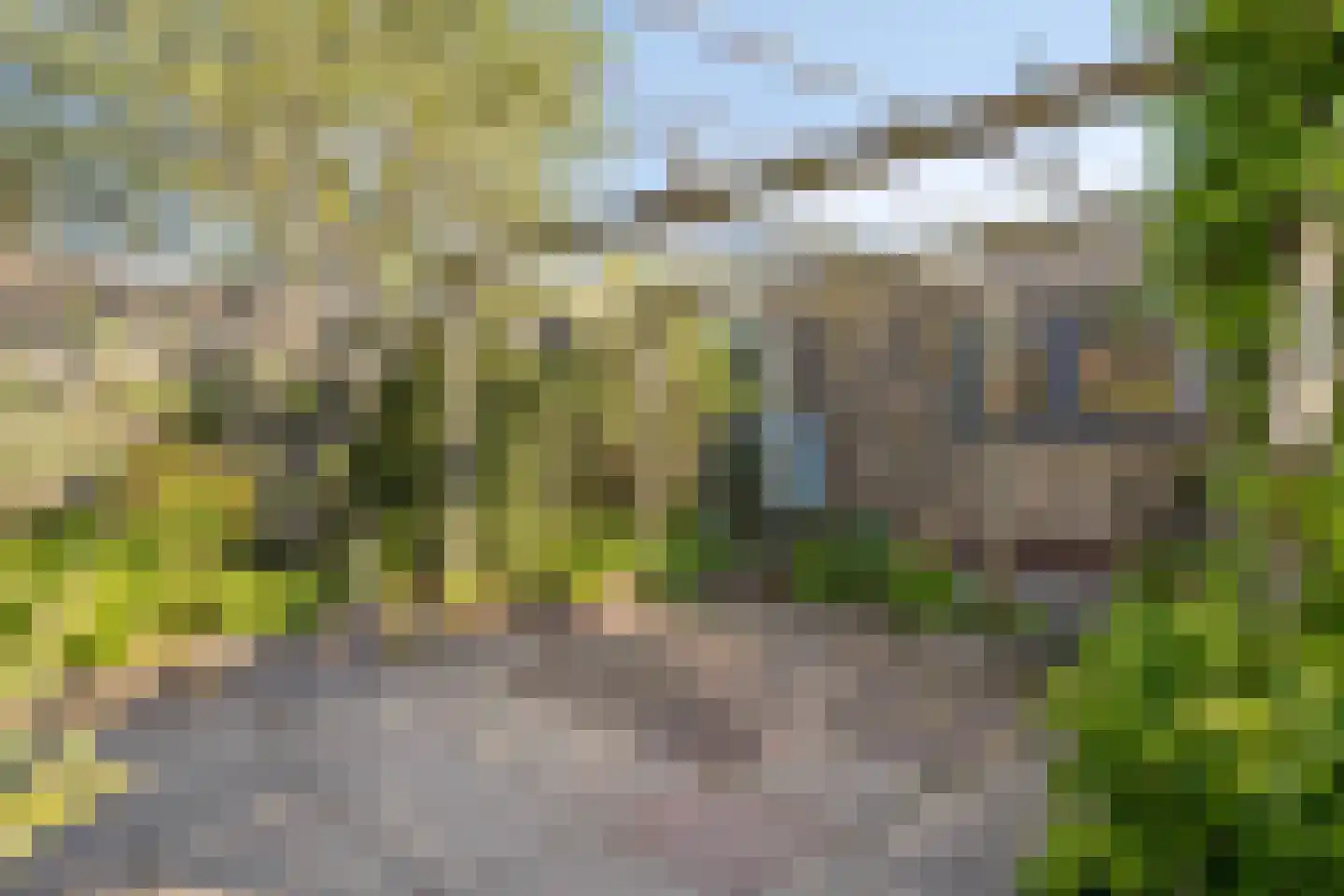 Azalealaan 40 Yerseke thumbnail 29