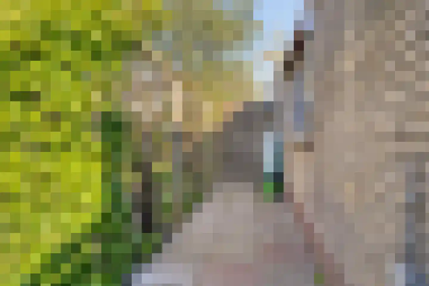 Azalealaan 40 Yerseke thumbnail 30