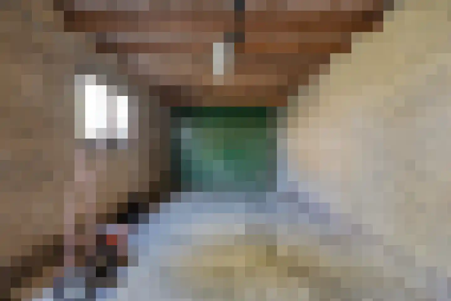 Azalealaan 40 Yerseke thumbnail 31