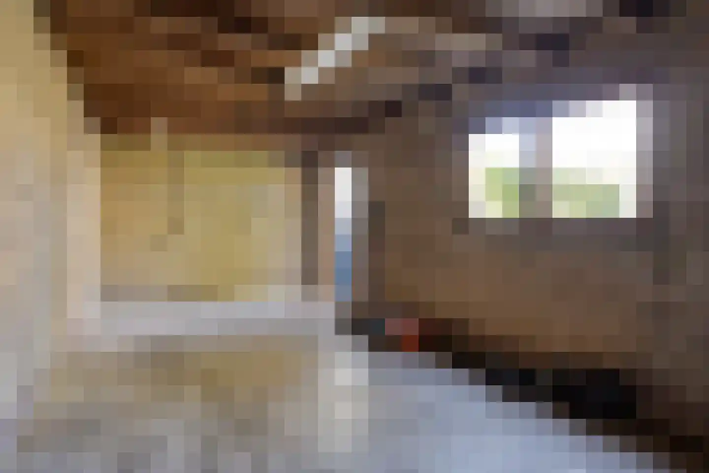 Azalealaan 40 Yerseke thumbnail 32