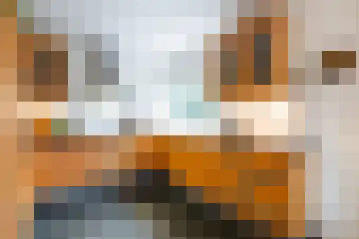 Azalealaan 6 Waalre thumbnail 21