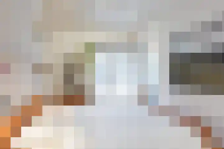 Azalealaan 6 Waalre thumbnail 26