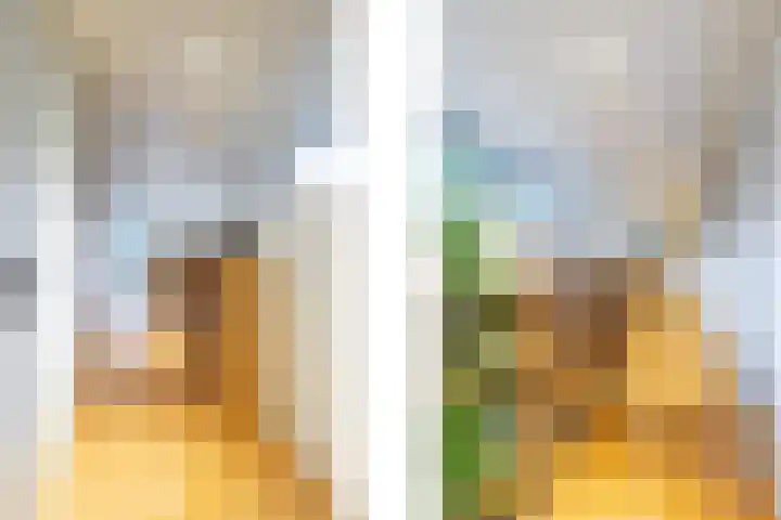 Azalealaan 6 Waalre thumbnail 30