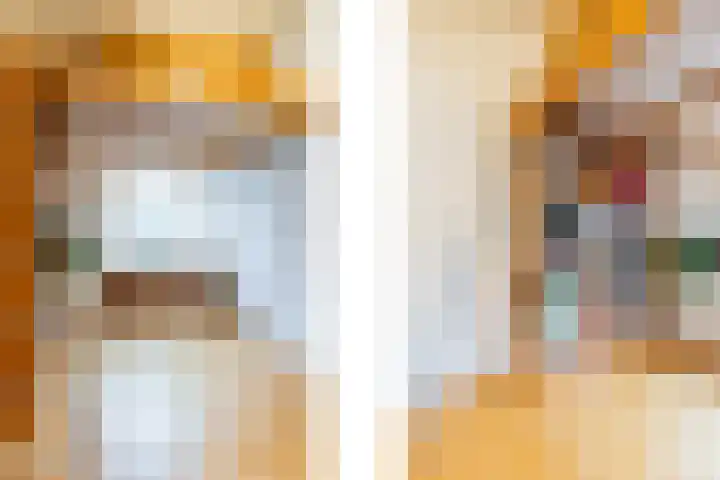 Azalealaan 6 Waalre thumbnail 31