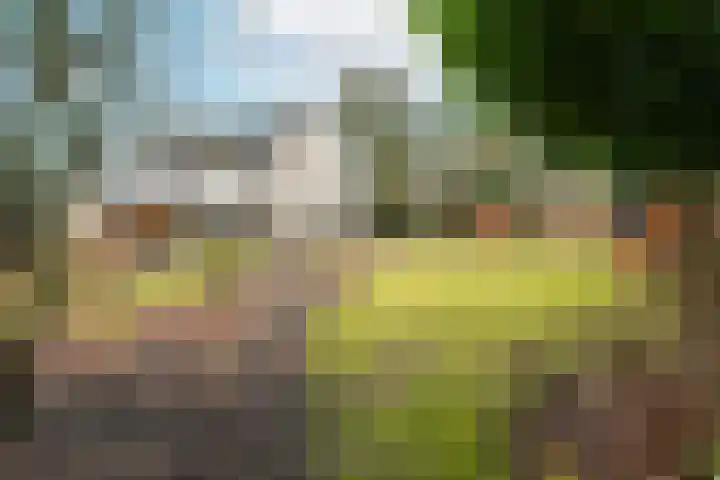 Azalealaan 6 Waalre thumbnail 35