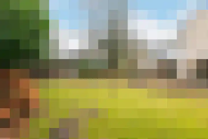 Azalealaan 6 Waalre thumbnail 38