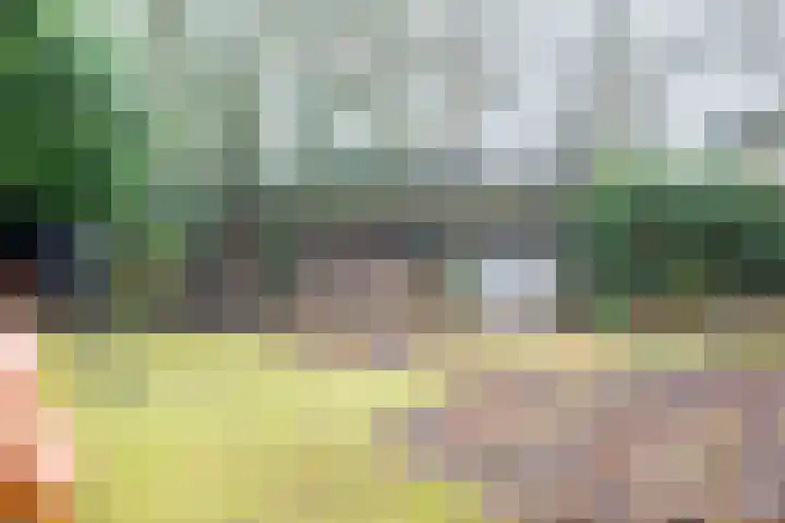 Azalealaan 6 Waalre thumbnail 39