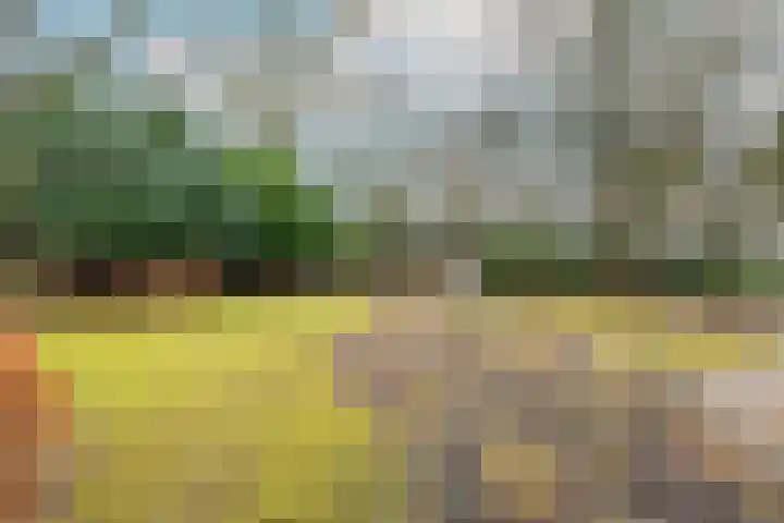 Azalealaan 6 Waalre thumbnail 41