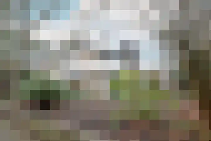 Azalealaan 6 Waalre thumbnail 46