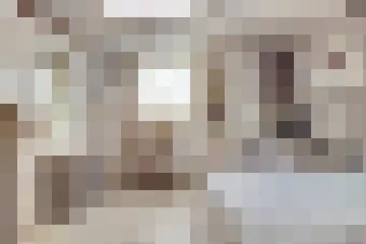 Azalealaan 66 Yerseke thumbnail 10