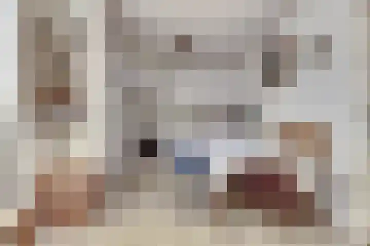 Azalealaan 66 Yerseke thumbnail 11