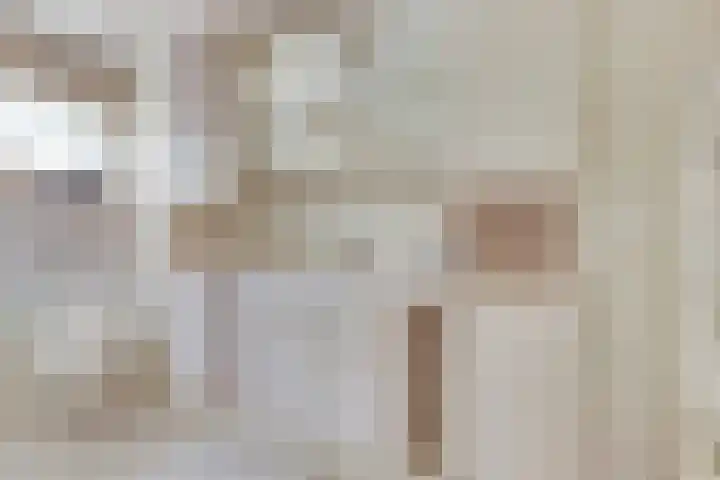 Azalealaan 66 Yerseke thumbnail 16