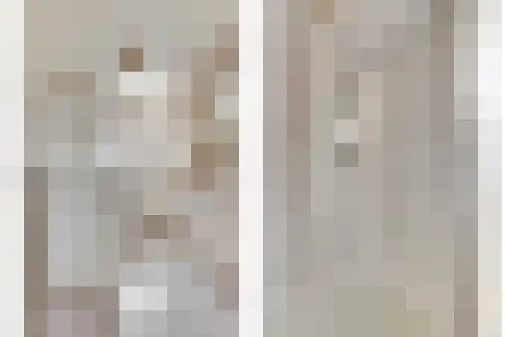 Azalealaan 66 Yerseke thumbnail 17