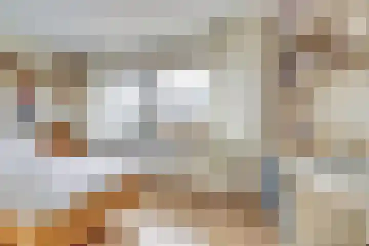 Azalealaan 66 Yerseke thumbnail 19