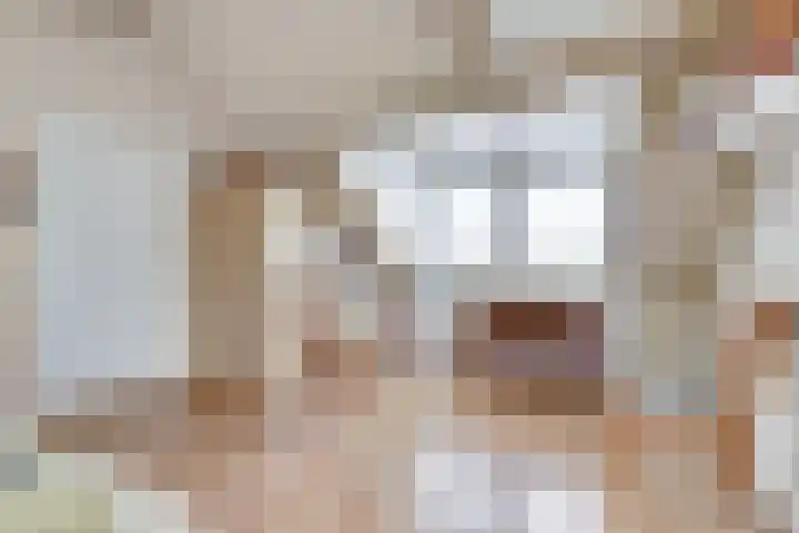 Azalealaan 66 Yerseke thumbnail 22