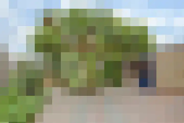Azalealaan 66 Yerseke thumbnail 25