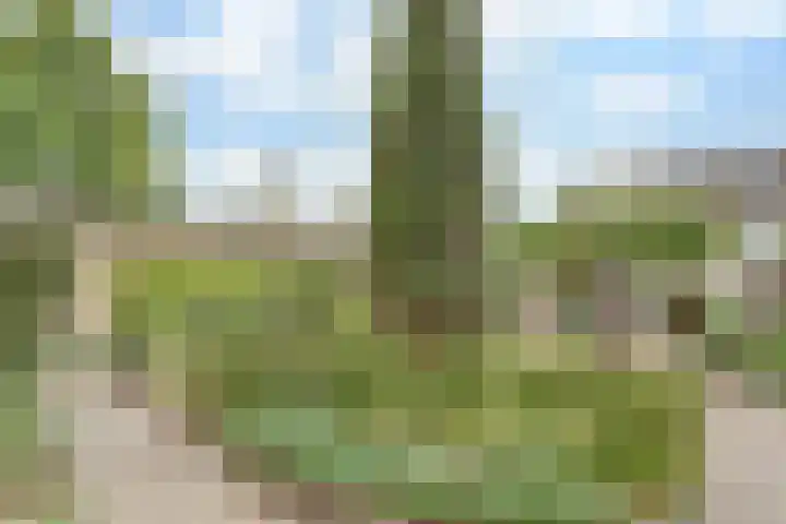 Azalealaan 66 Yerseke thumbnail 27