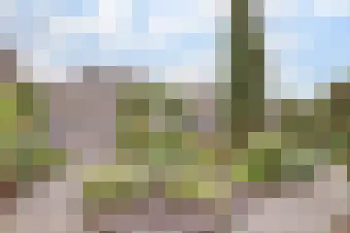 Azalealaan 66 Yerseke thumbnail 28