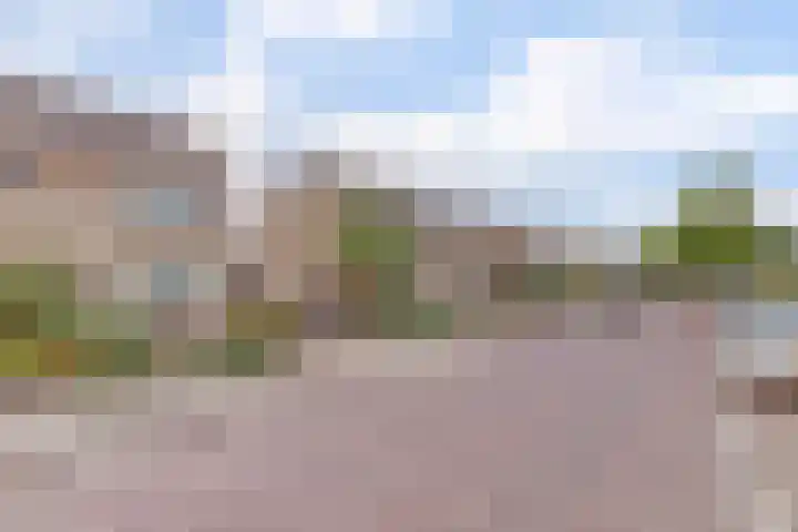 Azalealaan 66 Yerseke thumbnail 31