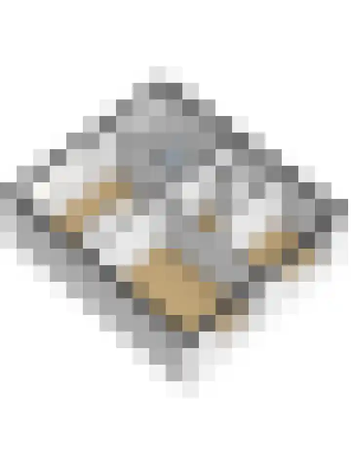 Azalealaan 66 Yerseke thumbnail 37