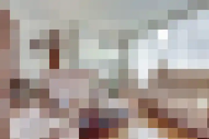 Azalealaan 66 Yerseke thumbnail 5