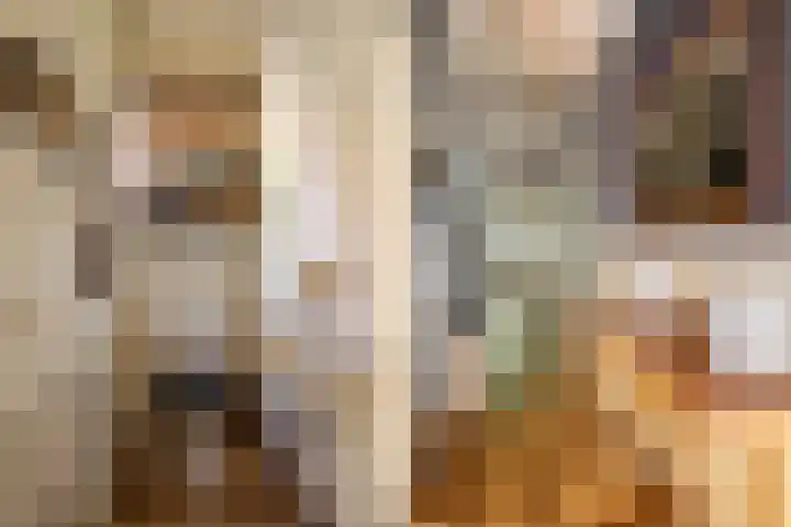 Azalealaan 9 Ermelo thumbnail 14