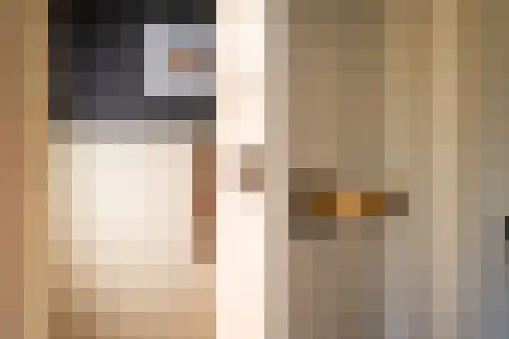 Azalealaan 9 Ermelo thumbnail 18