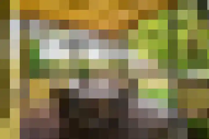 Azalealaan 9 Ermelo thumbnail 37