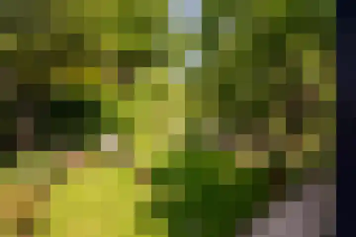 Azalealaan 9 Ermelo thumbnail 38