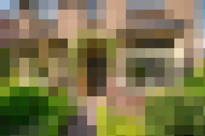 Azalealaan 9 Ermelo thumbnail 4