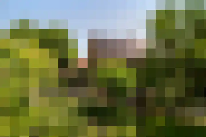 Azalealaan 9 Ermelo thumbnail 40
