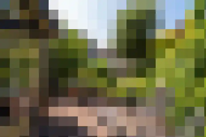 Azalealaan 9 Ermelo thumbnail 41