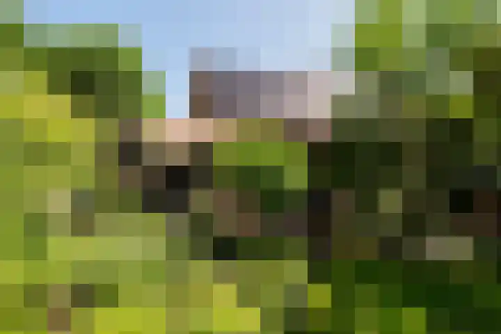 Azalealaan 9 Ermelo thumbnail 45