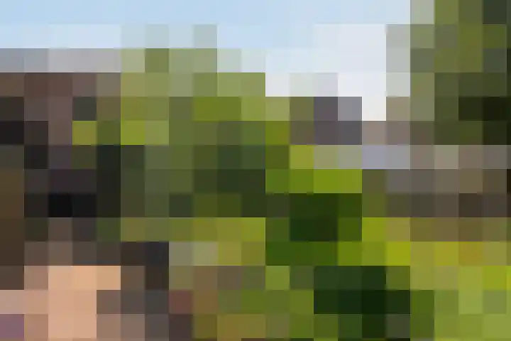 Azalealaan 9 Ermelo thumbnail 46