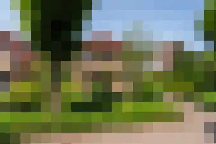 Azalealaan 9 Ermelo thumbnail 48