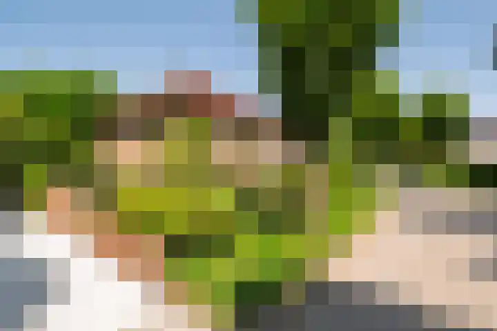 Azalealaan 9 Ermelo thumbnail 49