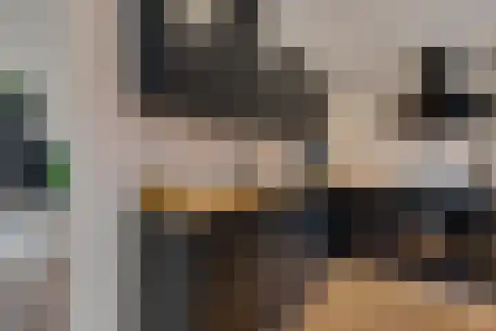 Azalealaan 95 Boskoop thumbnail 11