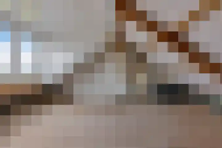 Azalealaan 95 Boskoop thumbnail 21
