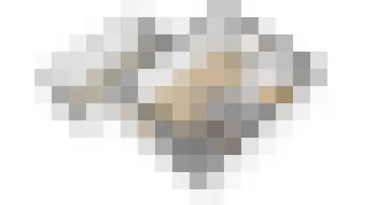 Azalealaan 95 Boskoop thumbnail 27
