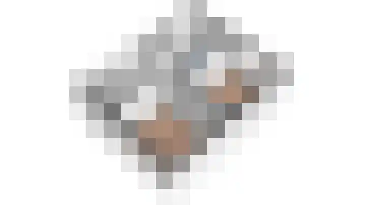 Azalealaan 95 Boskoop thumbnail 31