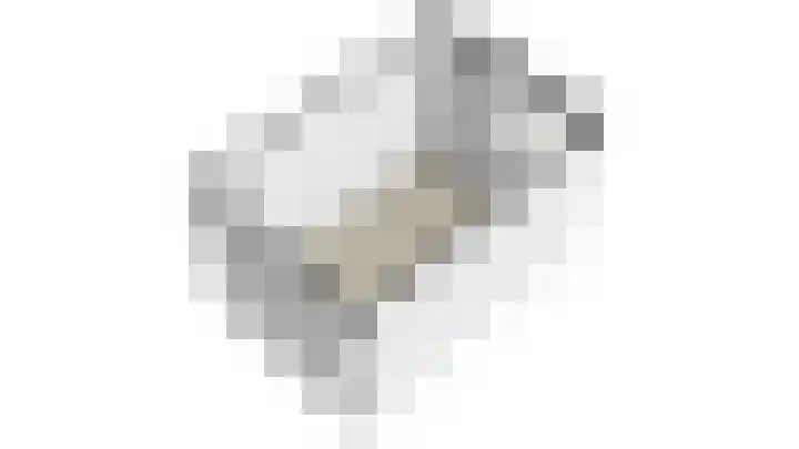 Azalealaan 95 Boskoop thumbnail 36