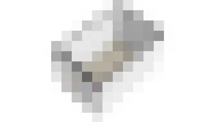 Azalealaan 95 Boskoop thumbnail 37