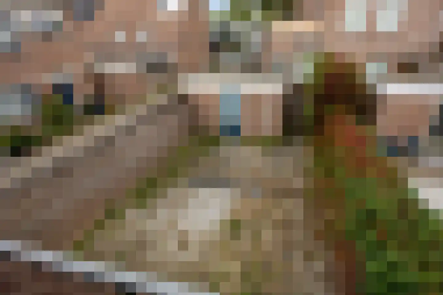 Azaleapark 2 Zoetermeer thumbnail 18